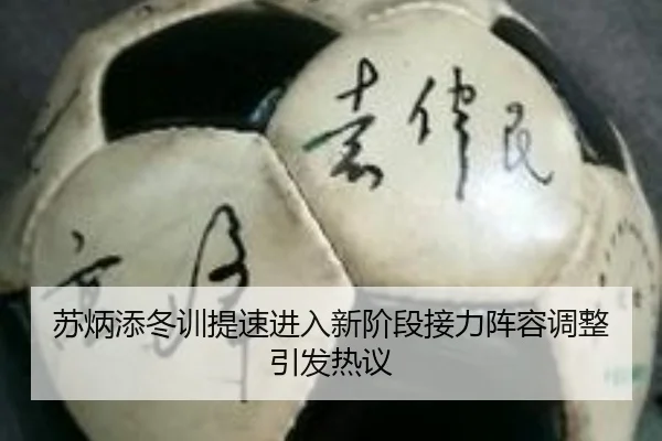 苏炳添冬训提速进入新阶段接力阵容调整引发热议（BAJIESPORTS）